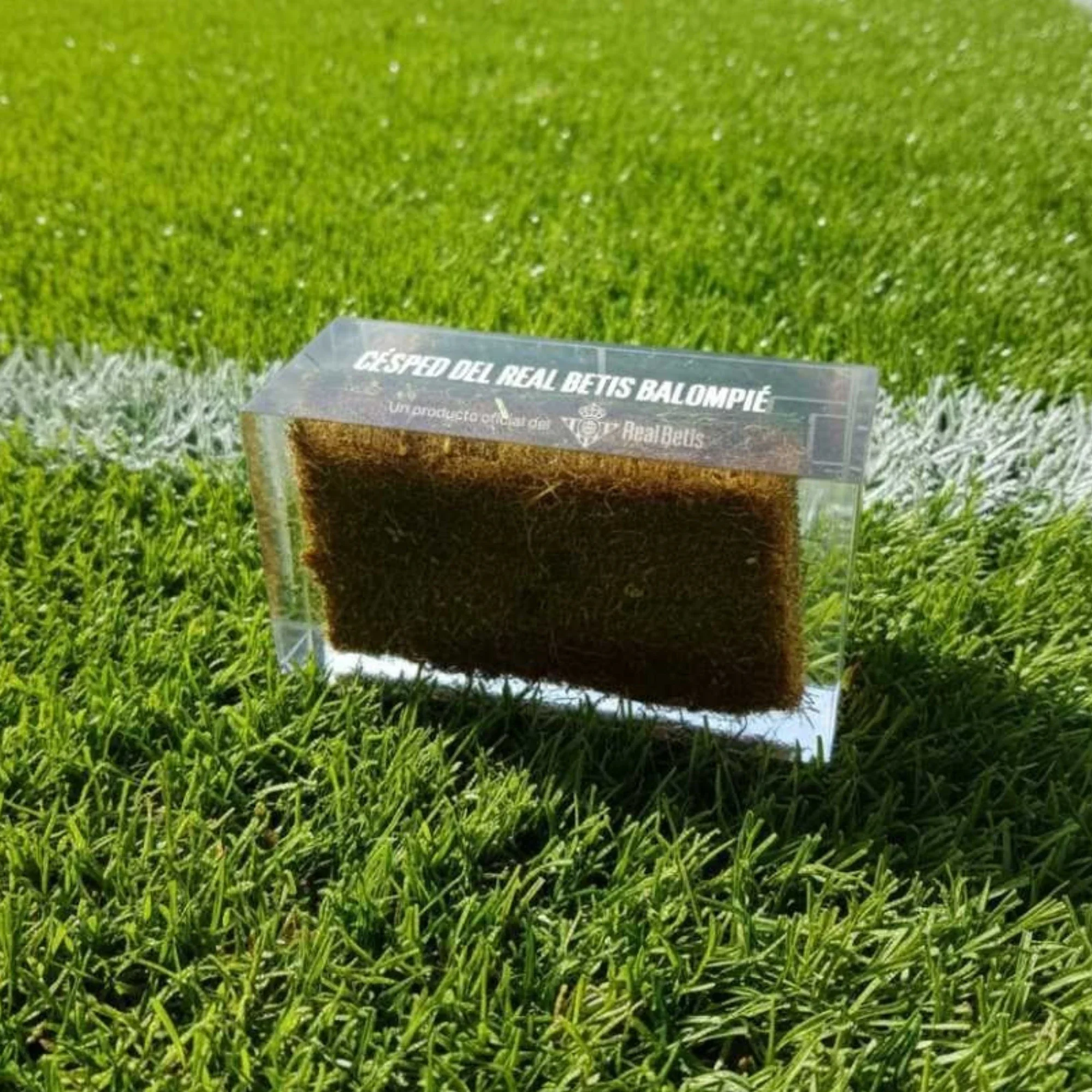 Imagen del producto 3